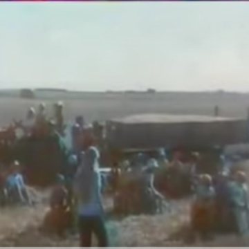 1976 - Rivoire et Carret fabrique des pâtes comme personne (Le champs 2) 1976 - Rivoire et Carret fabrique des pâtes comme personne (Le champs 2)